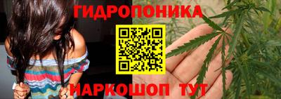 соль ск Кулебаки