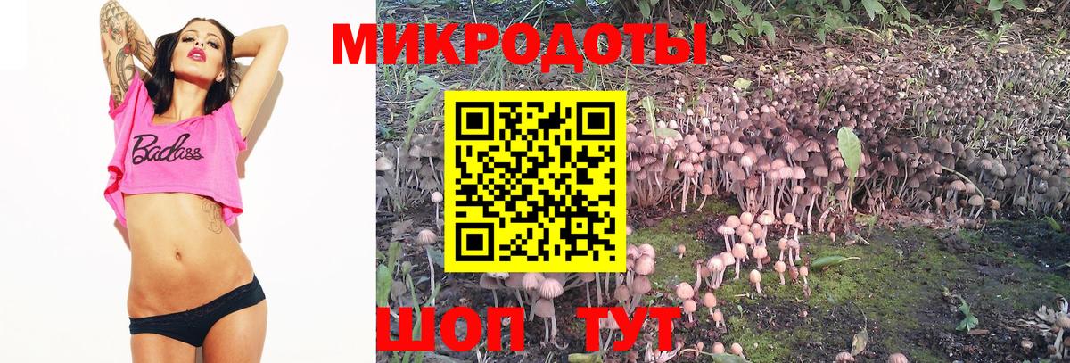 Галлюциногенные грибы мицелий  Вход с VPN  Галлюциногенные грибы Magic Shrooms  Унеча 